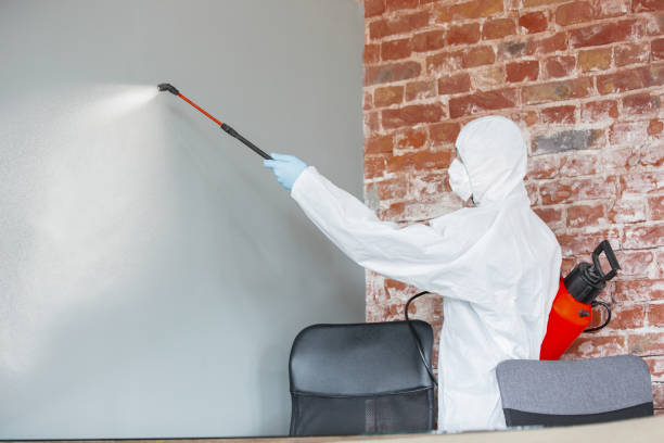 Best Mold Documentation for Insurance Claims  in Village Of The Branch, NY