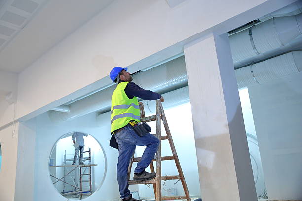 Reliable Village Of The Branch, NY Mold Removal Solutions