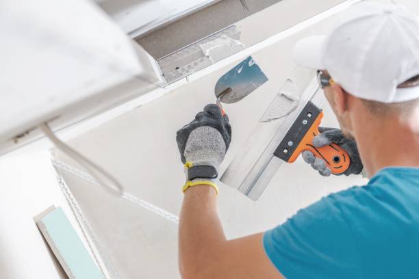 Best Asbestos and Lead Testing During Mold Inspection  in Village Of The Branch, NY